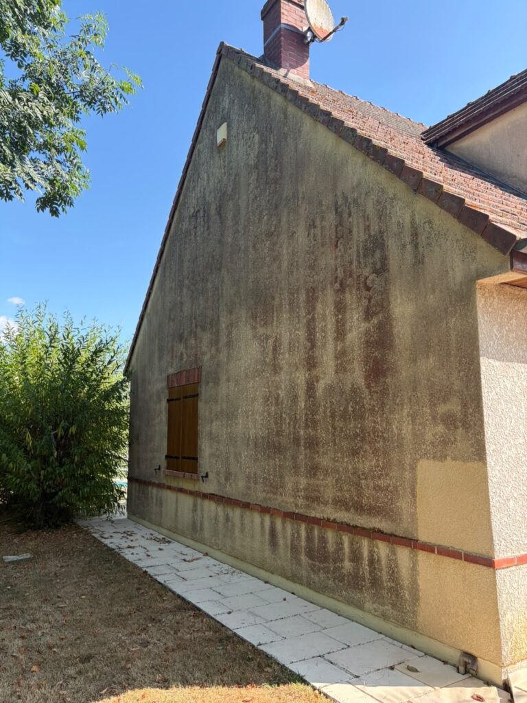 avant / pignon — Pignon de maison couvert de traces vertes et noires avant nettoyage à Cosne-sur-Loire